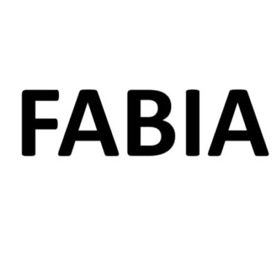 Nosač Fara Skoda Fabia 2007 - 2015